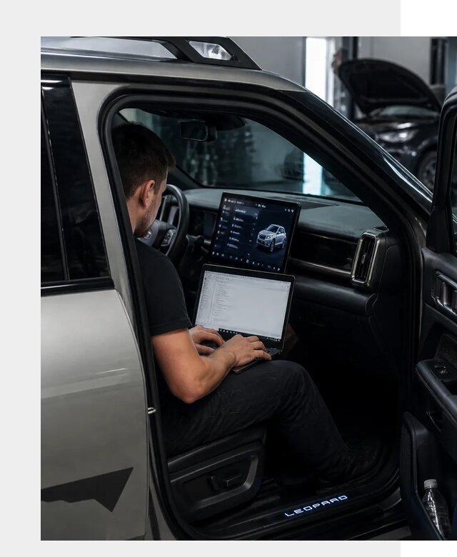 Русификация BYD Leopard 3 в Чите по цене от 20597 р. | ФастМобиль-Чта